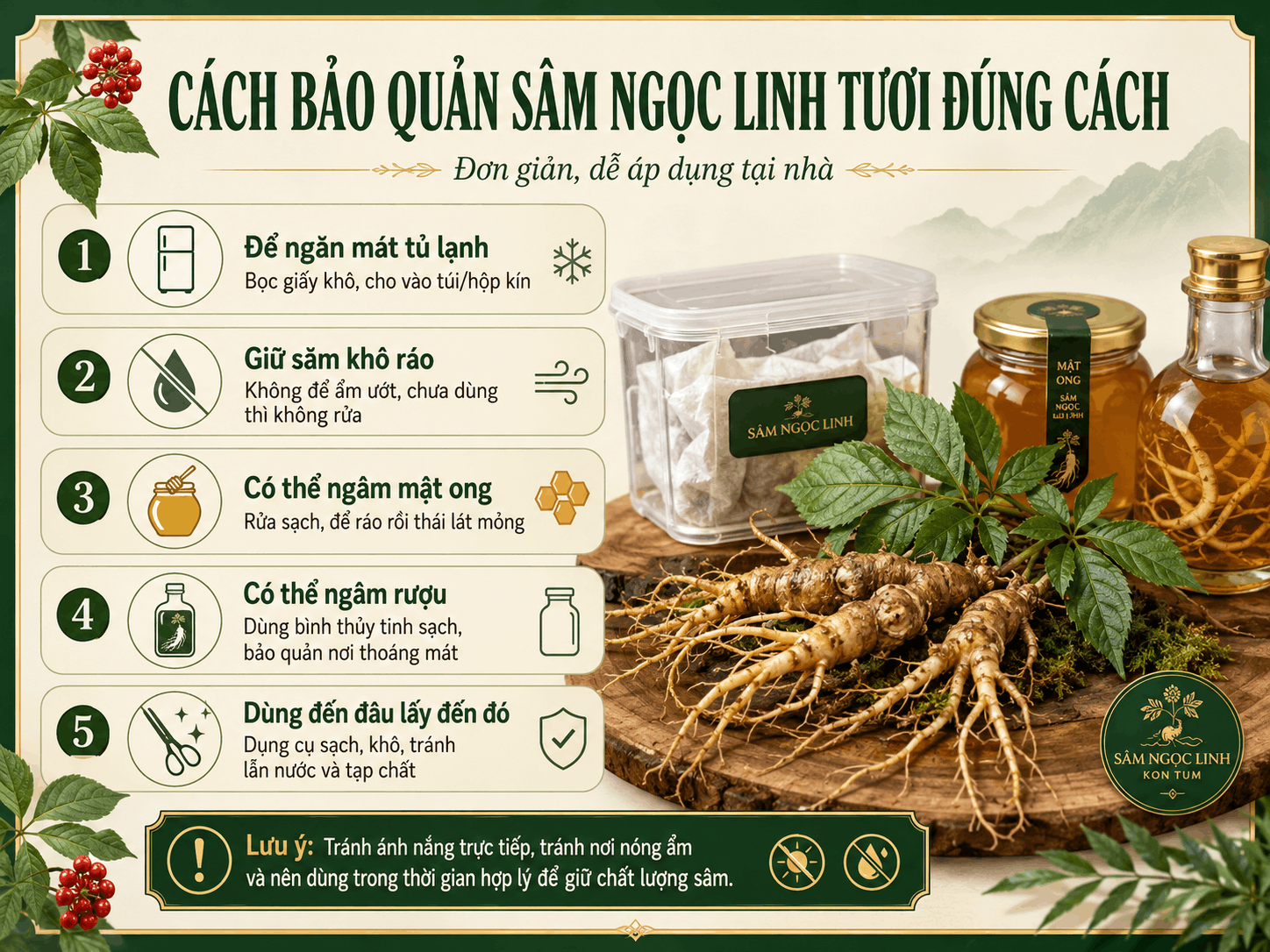 Cách Bảo Quản Sâm Ngọc Linh Tươi Đúng Cách Tại Nhà